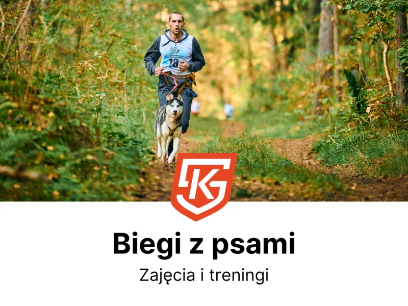 Biegi z psami dla dzieci i dorosłych - treningi i zajęcia - KlubySportowe.pl