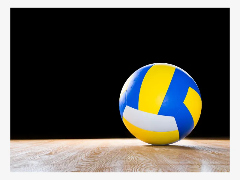 Jaką pozycję w Europie zajmują polskie kluby siatkarskie? / fot. AdobeStock