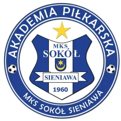 Logo - Akademia Piłkarska Sokół