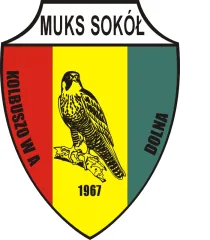 Logo - Międzyszkolny Uczniowski Klub Sportowy Sokół Kolbuszowa Dolna