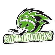 Logo - SNG WILD DUCKS