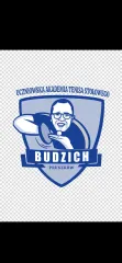 Logo - Uczniowska Akademia Tenisa Stołowego Budzich "UATS Budzich"