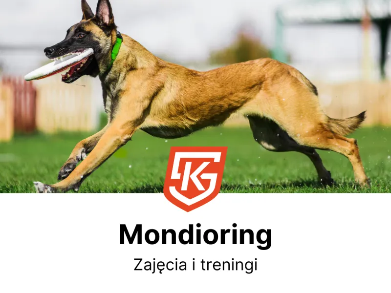 Mondioring Piekary Śląskie - treningi i zajęcia - KlubySportowe.pl