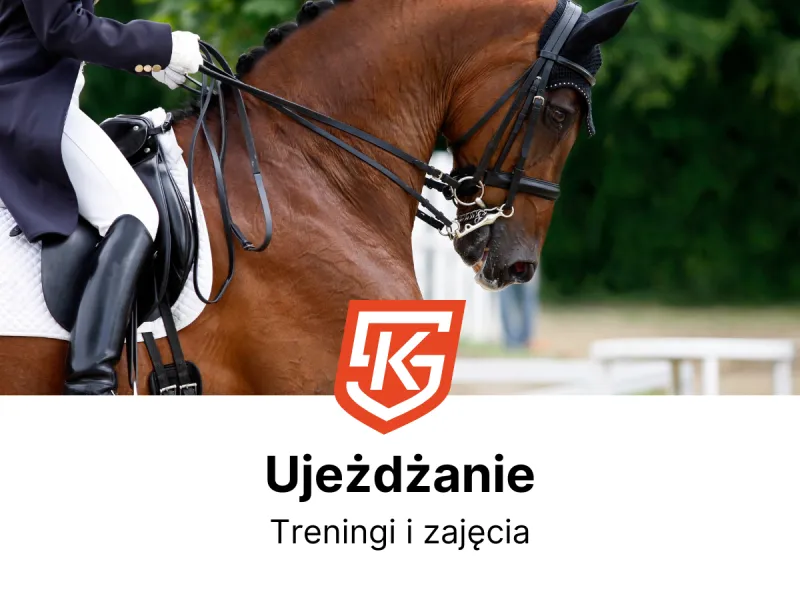 Ujeżdżanie Szczecin dla dzieci i dorosłych - zajęcia i treningi - KlubySportowe.pl