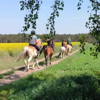 Zdjęcia klubu - Klub Jeździecki Stara Stajnia