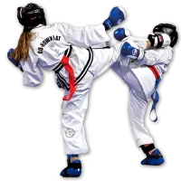 Zdjęcia klubu - Klub Taekwondo Taipan