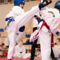 Zdjęcia klubu - Klub Taekwondo Taipan