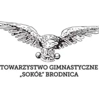 Zdjęcia klubu - Towarzystwo Gimnastyczne Sokół Brodnica