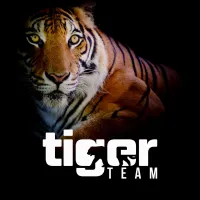 Zdjęcia klubu - Uczniowski Klub Sportowy Tiger-Team