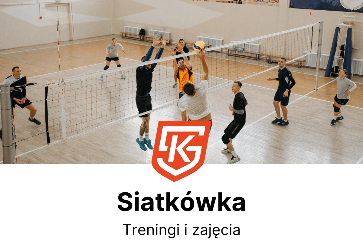 Siatkówka