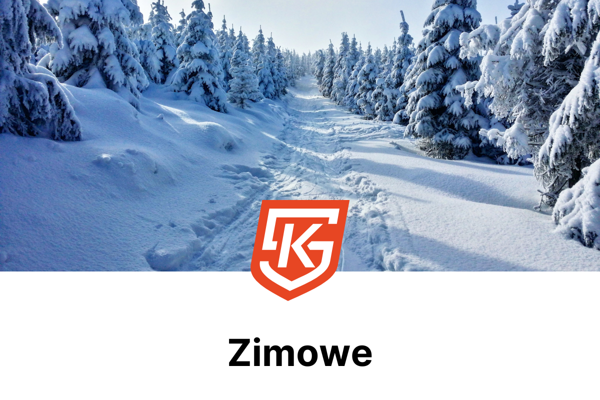 Zimowe